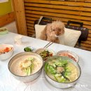양평제2경로당 | [양평] 서종 애견동반식당, 블루리본 맛집 큰골 보리밥 칼국수 후기