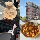 호텔동방블라썸 | 숙소 추천과 우캉루 여행 코스 (쓰촨시티즌-마파두부, 곰돌이커피 예약방법, 우캉맨션 돈주고 촬영후기)