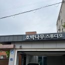 빛 시리즈 | 해운대 호박나무 스튜디오 100일 촬영 후기, 루시드 바니 컨셉에 반해 성장앨범 계약한 이유