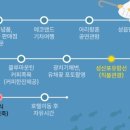 엠버여행사 이미지