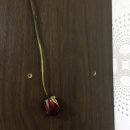 시장뚝배기 - 안성시 낙원길 173 | 시장뚝배기
