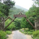 불정자연휴양림 경안일보