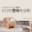 마이주