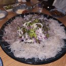 일공공샤브 | [진주술집] 진주 평거 회 추천! 오징어회 맛집 박선장 솔직후기