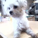 가좌종합동물병원 이미지