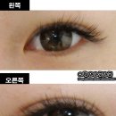 레몬네일 - 고양시 일산동구 숲속마을1로 29-37 | 레몬네일