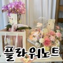 사파동 주택지 공영주차장 | 창원 어버이날 꽃바구니 내돈내산 후기 사파동 꽃집 플라워노트