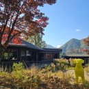 파란 카페 앤 호스텔 | [제천 월악산 유스호스텔 카페] 레이크앤마운틴, 뷰+감성에 피자 와플 맛집