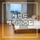 해리안호텔 이미지