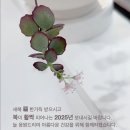 필라디아 이미지
