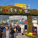 화순국화축제 이미지