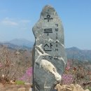 서산서부산악회 제431차 우두산 봄꽃산행(2025.04.06) 이미지