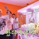 인형뽑기 이미지