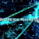 용인대백현태권도장