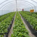 노산농장 이미지