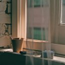 빛나는청춘 이미지