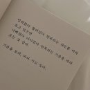 교동경로당 놀이터, 놀이터 위 | 너를 해부해 보고 싶다 네가 좋으니까