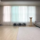 스텔라홈 이미지