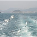 욕지파출소 이미지