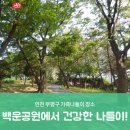 백운공원 배드민턴장 이미지