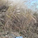 발구덕중간 이미지