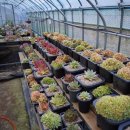 다미농장 이미지