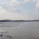 삽교호관광지 이미지