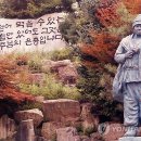 꽃동네31