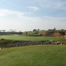 블루스타 이미지