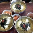 산성애견 이미지