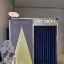 웨스트펫 | 반려동물 촬영 특별했던 하루 펫부스 PETBOOTH 후기