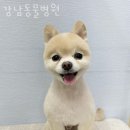 유일동물병원 이미지