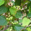 쉼터민박 이미지