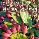 하은식품 이미지