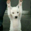 한가한오후 이미지