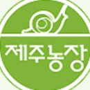 제주농장영농조합법인제주지점 이미지