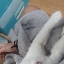 나도나도 이미지