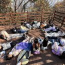 금촌청소년문화의집 이미지