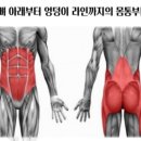 파워하우스