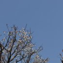 통제영1길 | 통영 카페, 통영 가볼만한곳, 강구안 수산시장, 통영 수산시장 고등어회, 통제영 관람, 동피랑, 이순신공원