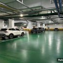 매화마을길(벌말로50번길) 이미지