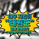 태무지킴이태권도 네이버블로그