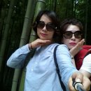 세솔팬션 이미지