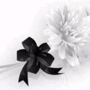 고려이발관 이미지