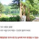 RE:10월20일(당,화)보은대추축제,속리산법주사단풍,말티재전망대,옥천장계관광단지 2대갑니다 이미지