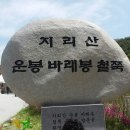 지리산 바래봉 철쭉축제 이미지