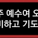 핸리 데이비드 선교사, 6개월만에 순교한 호주 최초 선교사 이미지