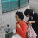 예닮미용실 - 군포시 당산로 28 | 예닮미용실