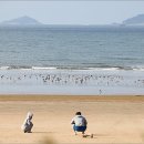 꽃지 할미할아비바위 이미지