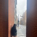 대호양행 네이버블로그